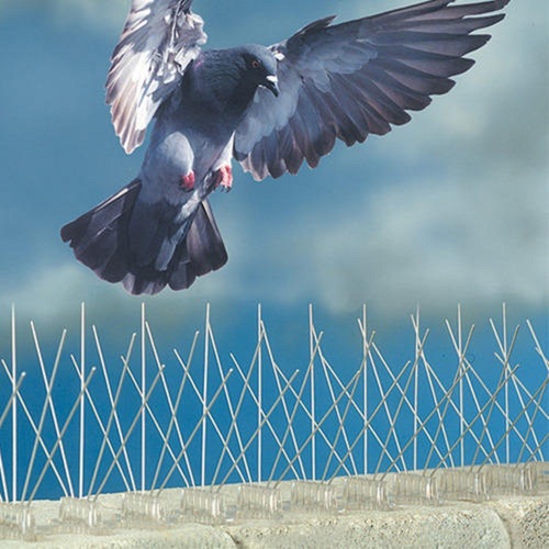 Birds Safety Net Installation